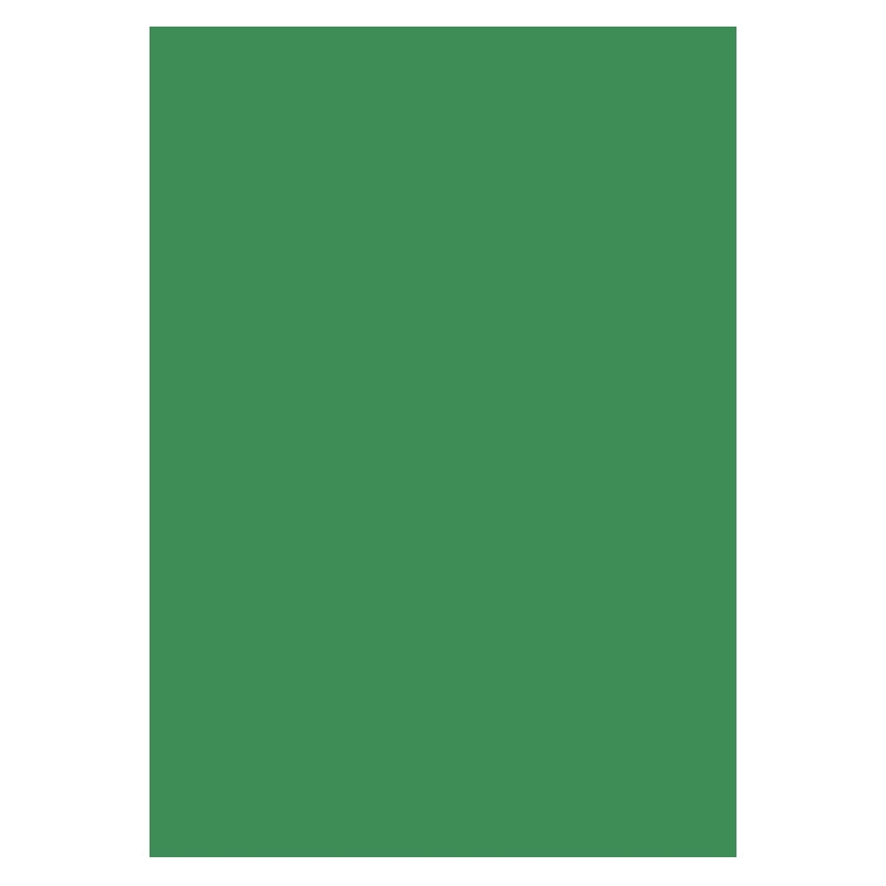 Krt A4 300g 10ark, Mossgrön