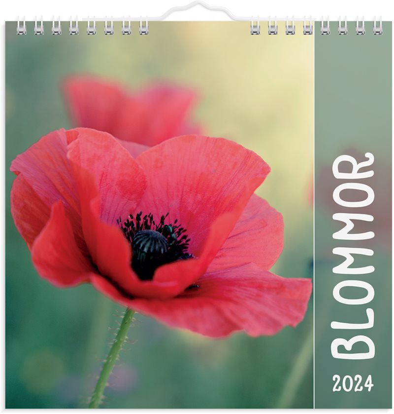 Väggkalender 2024 Blommor