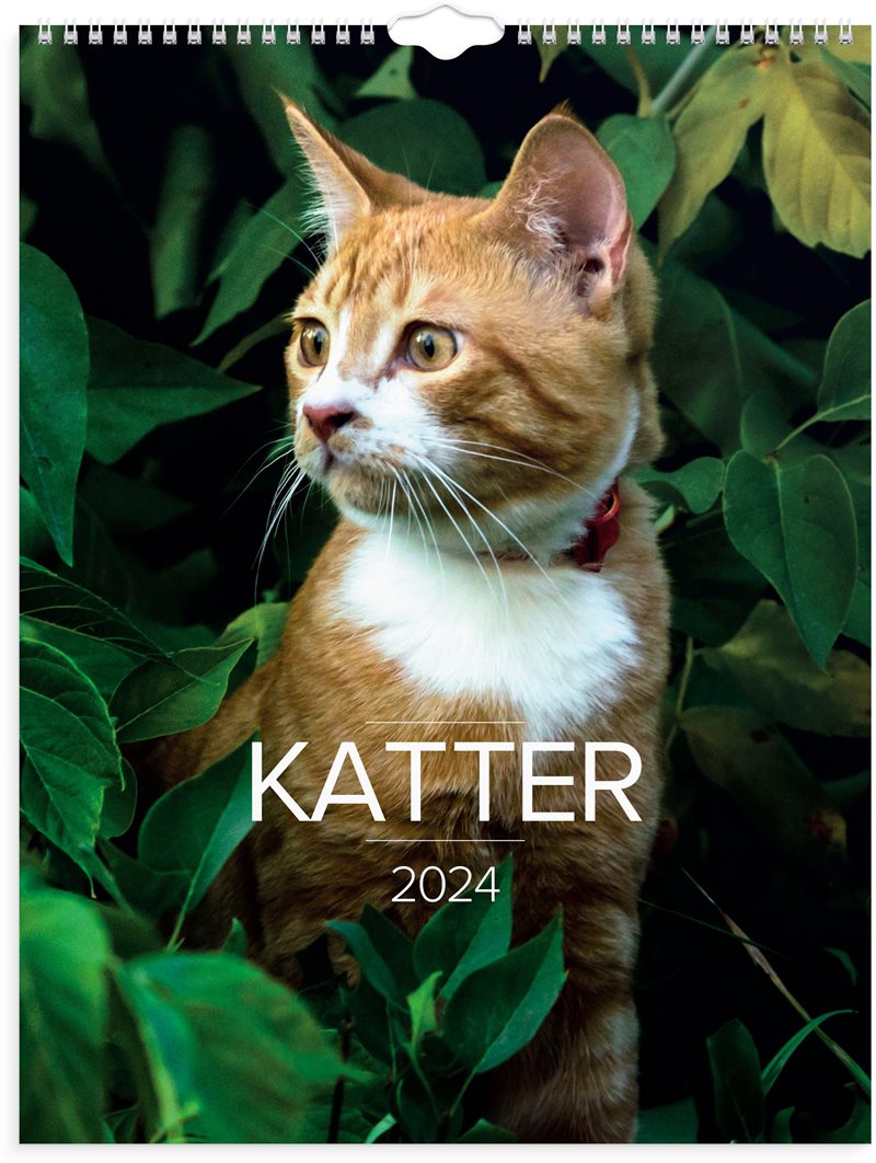 Väggkalender 2024 Stora Kattkalendern