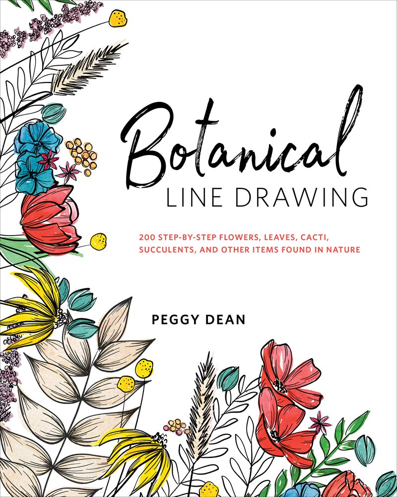 Botanical line drawing - 200 step-by-step flowers, leaves, cacti, succulent