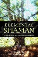 Elemental Shaman: One Man