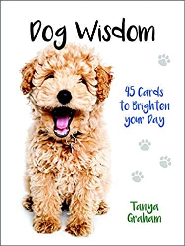 Dog Wisdom Cards New Edition