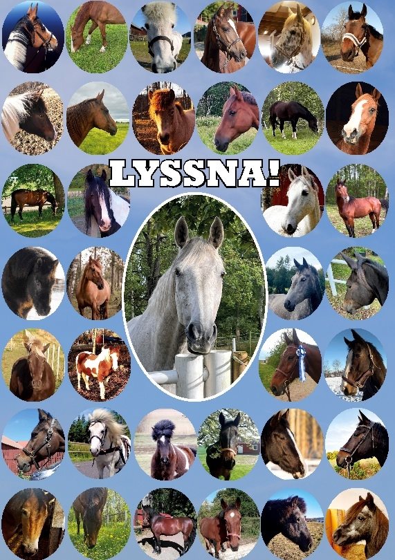 Lyssna! : en bok av hästar för människor