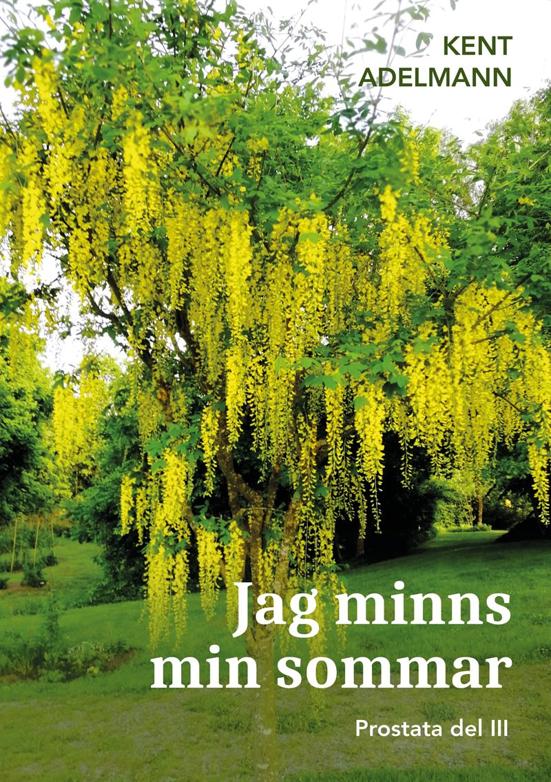 Jag minns min sommar: Prostata del III