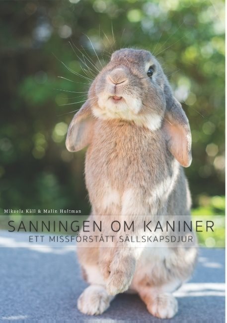 Sanningen om kaniner : ett missförstått sällskapsdjur
