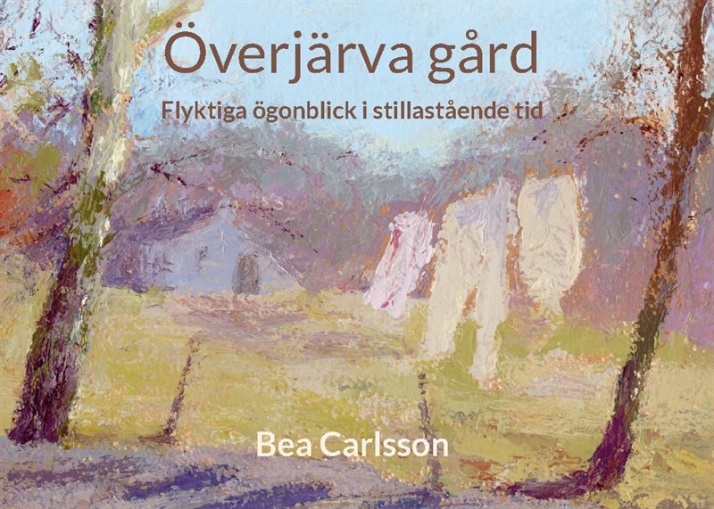 Överjärva gård : flyktiga ögonblick i stillastående tid