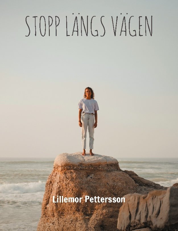 Stopp Längs Vägen : Sverige