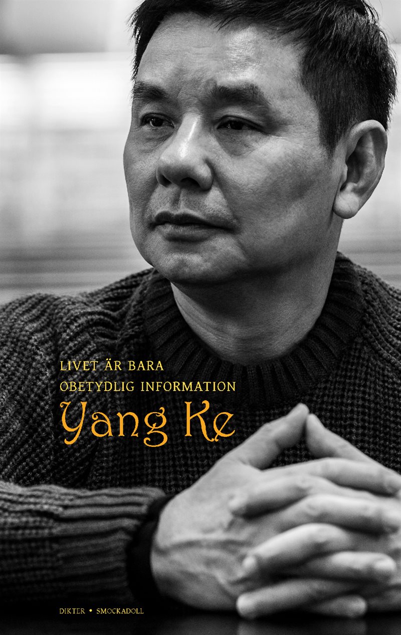 Livet är bara obetydlig information