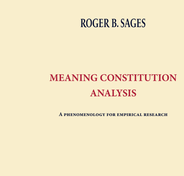 Meaning constitution analysis