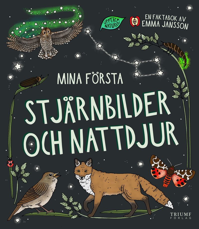 Mina första stjärnbilder och nattdjur