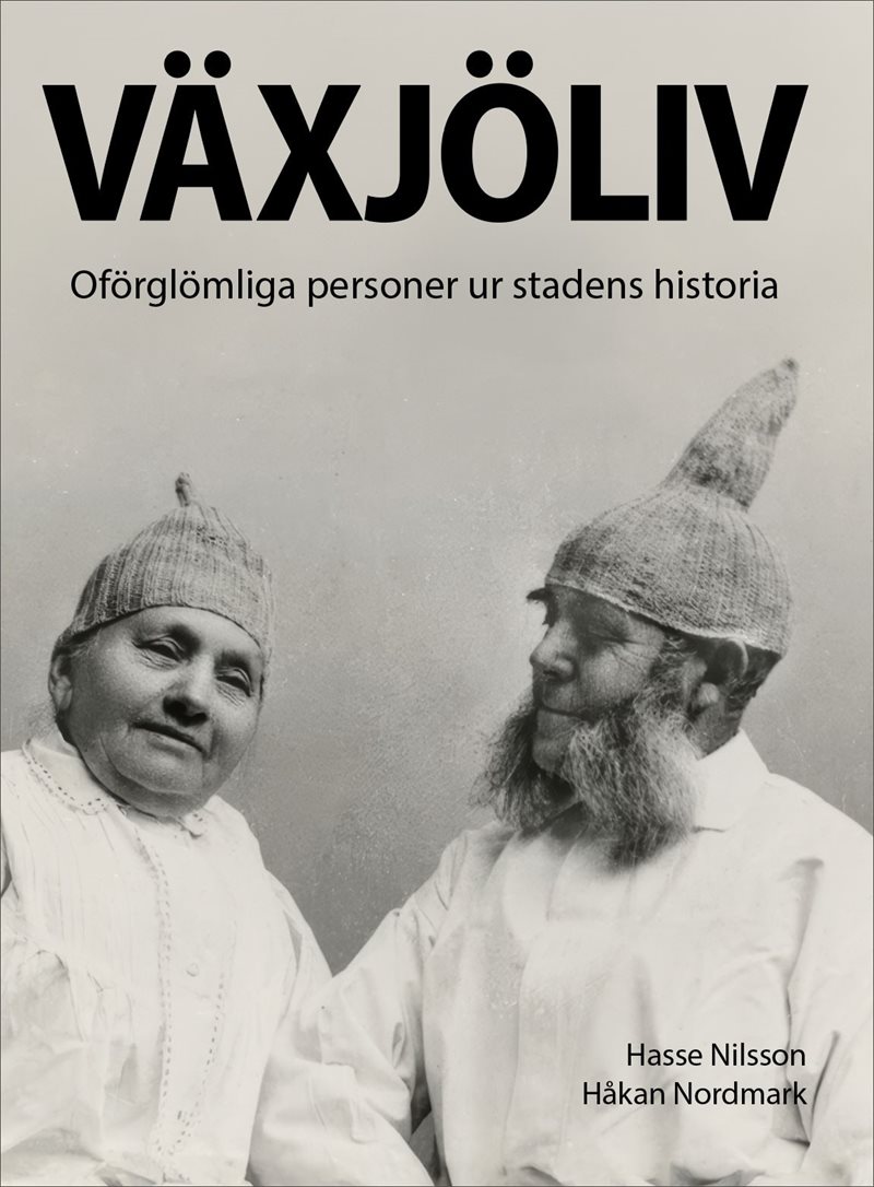 Växjöliv : oförglömliga personer ur stadens historia