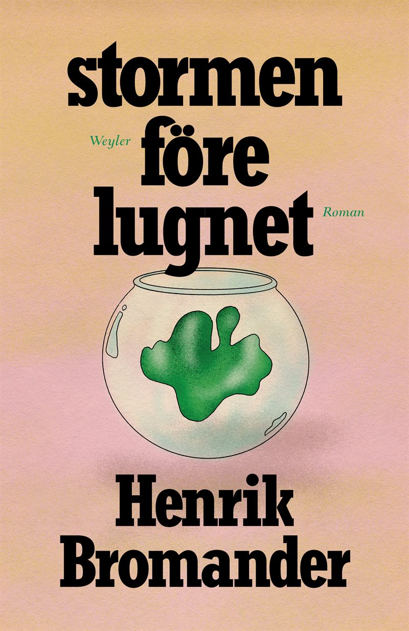 Stormen före lugnet