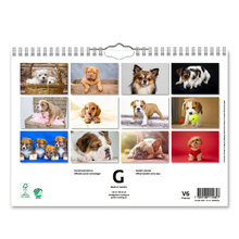 Väggkalender Hundar Small 2024 240x170