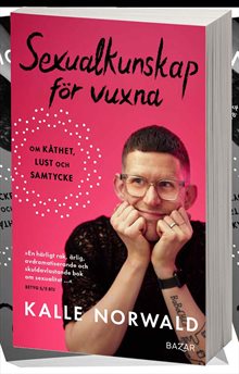 Sexualkunskap för vuxna : om kåthet, lust och samtycke